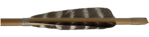 arrow fletching
